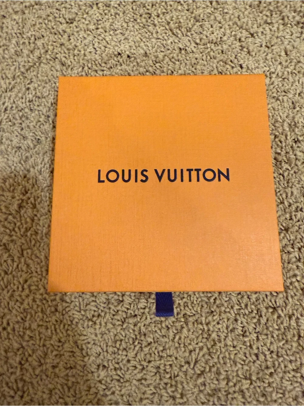 Louis Vuitton authentic louis